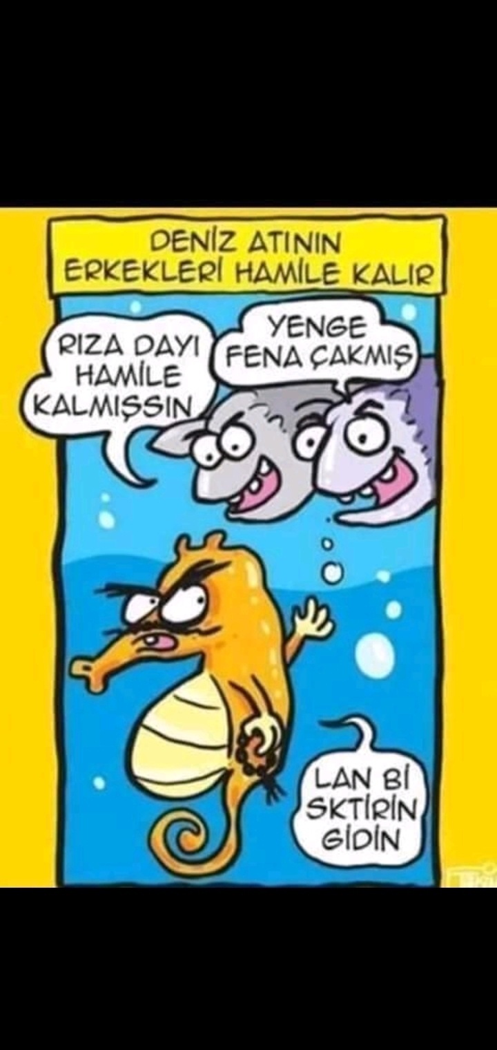 Şenol