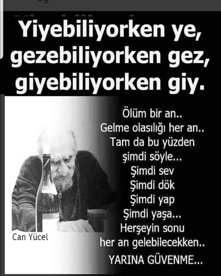 Ulvi