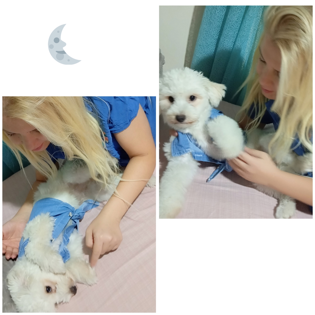 Özlem