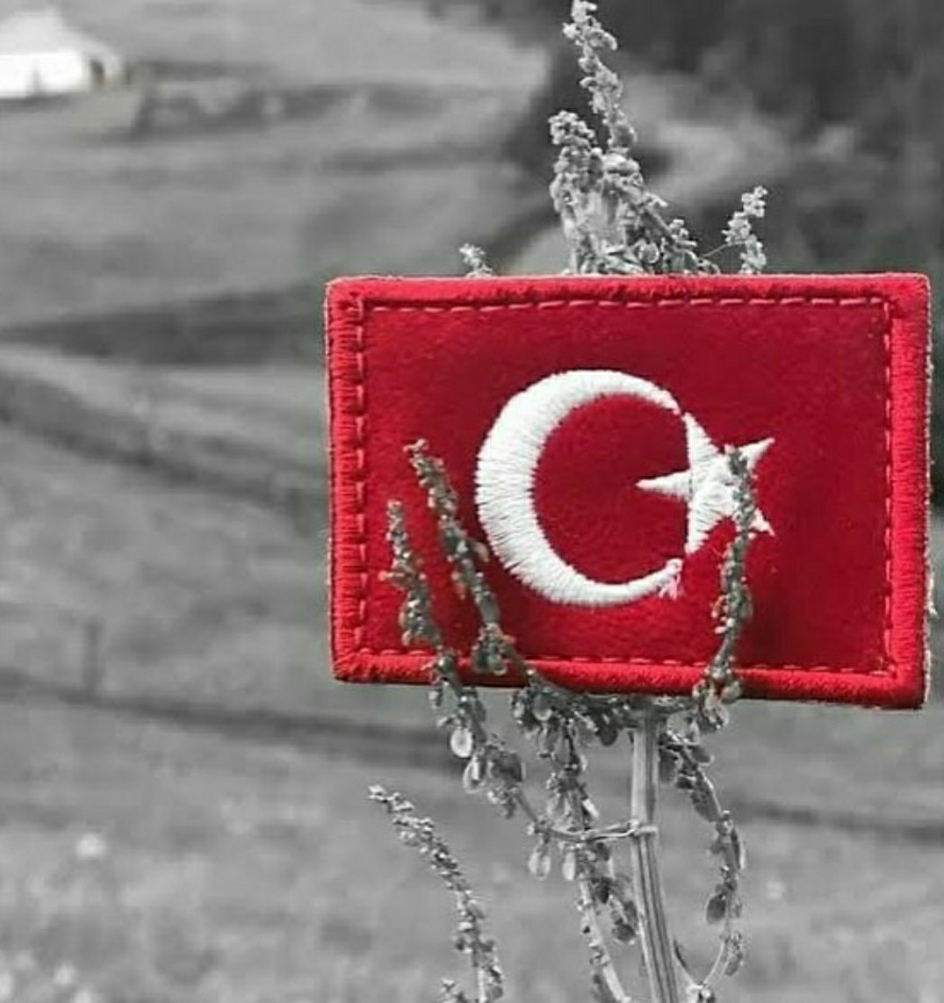 Canan