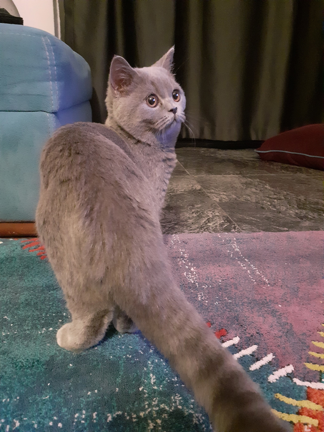 Mine