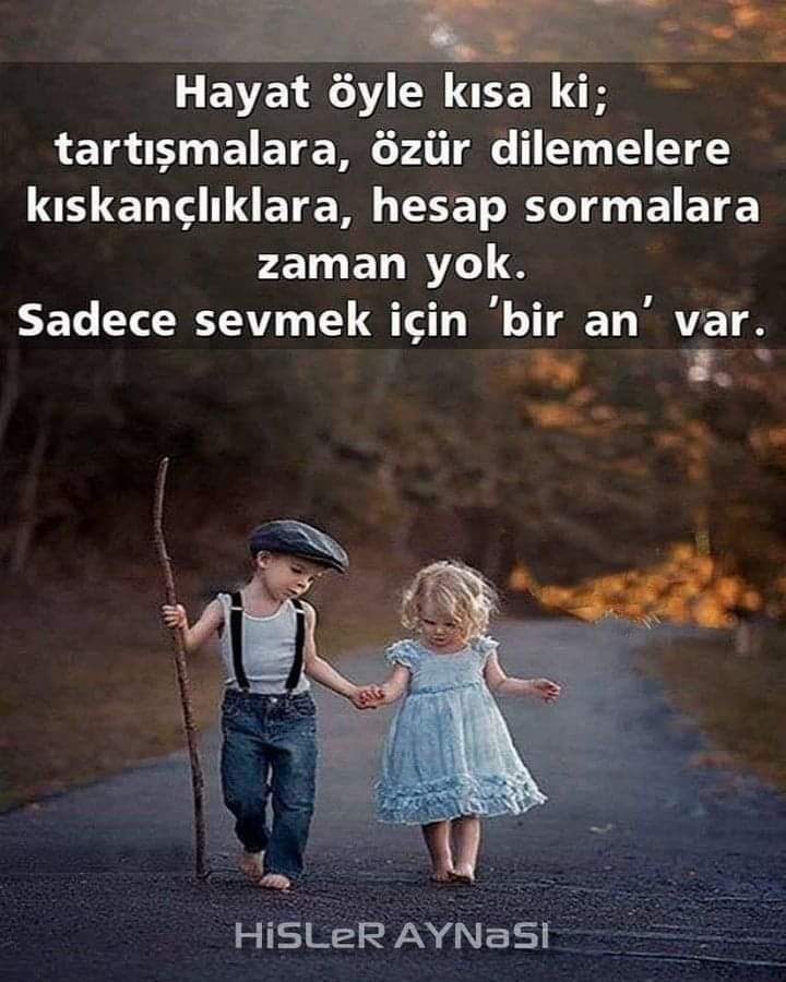 Gazel