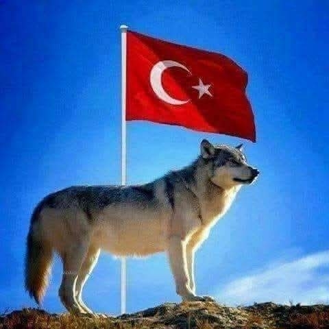 Erdoğan
