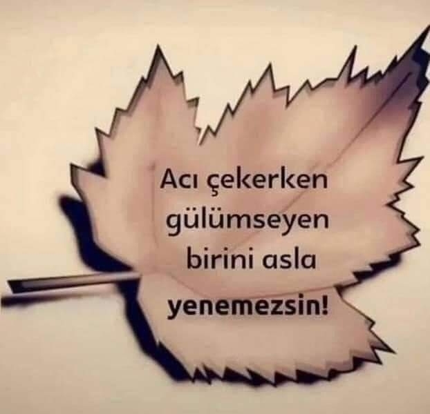 Sarp