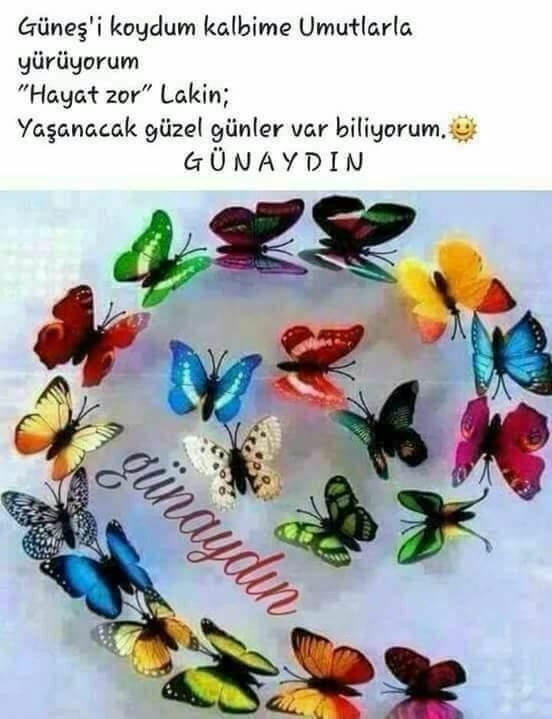 Gülhan