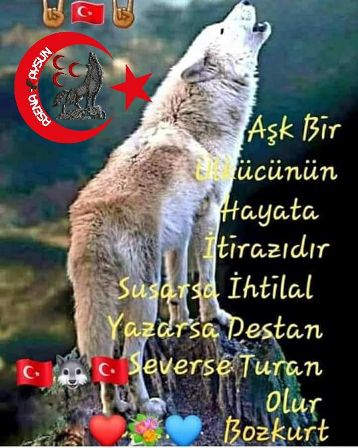 Aysun