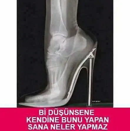 Melek
