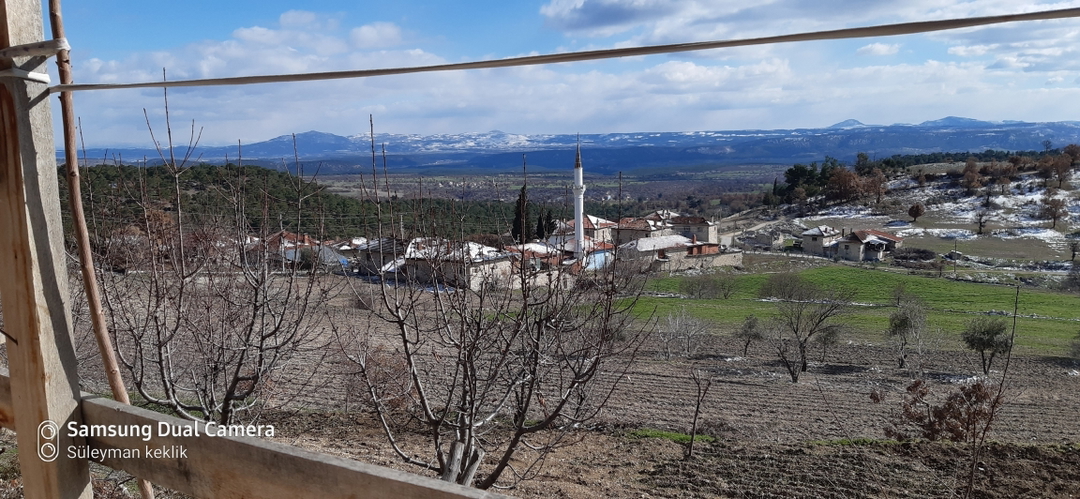 Süleyman