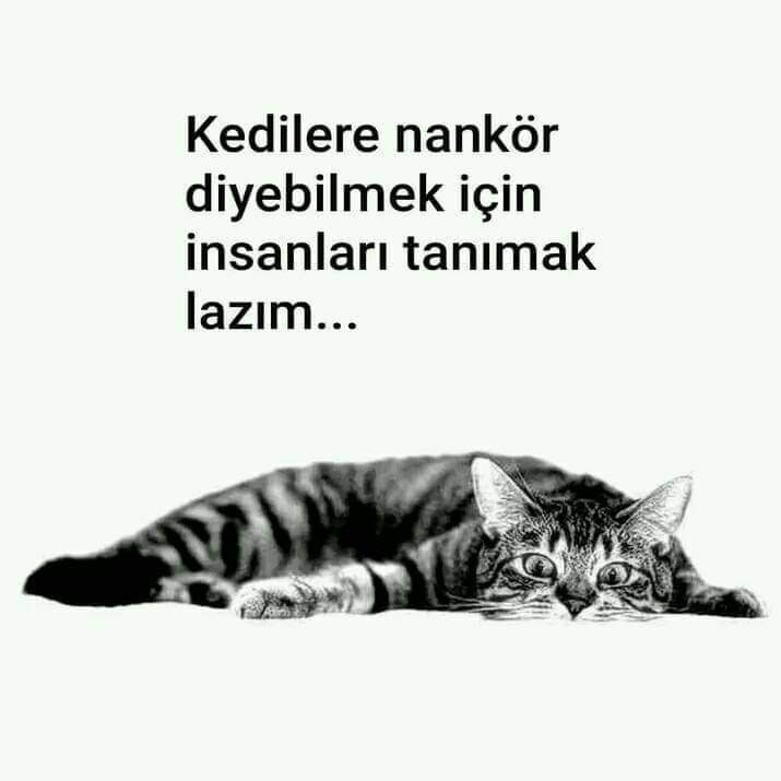 Uğur