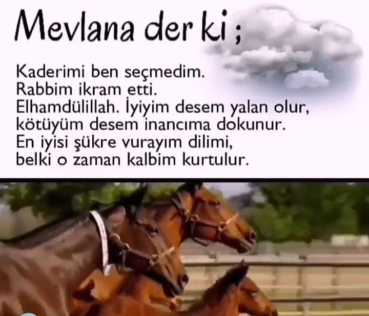 Pelin