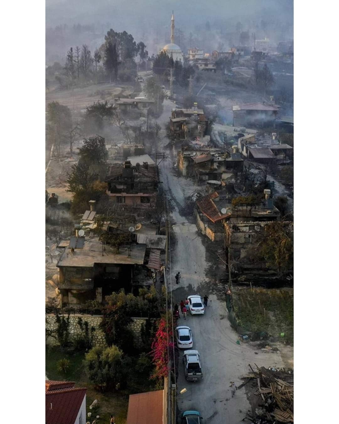 Erdem
