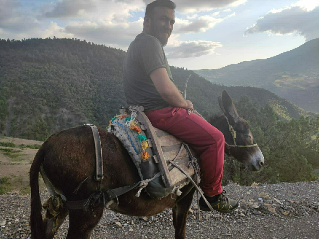 Erdem