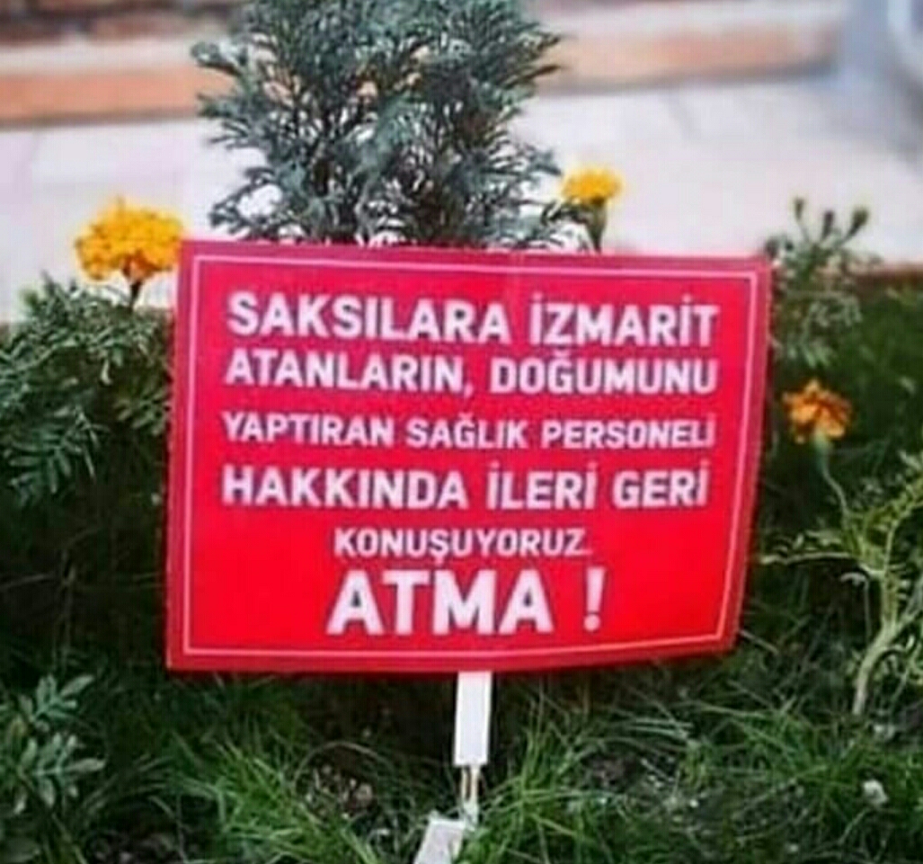 Ayşegül