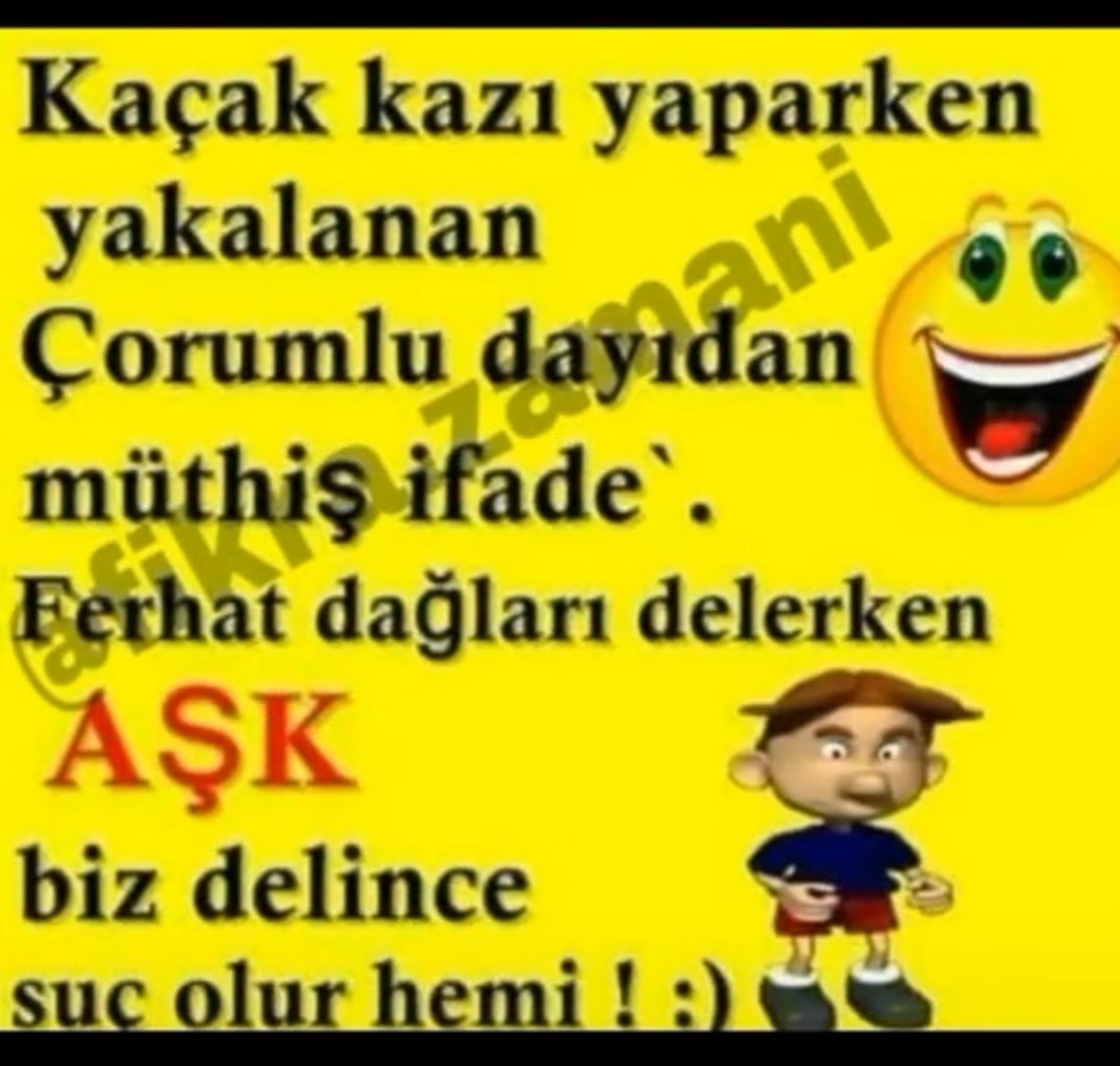 Aynur