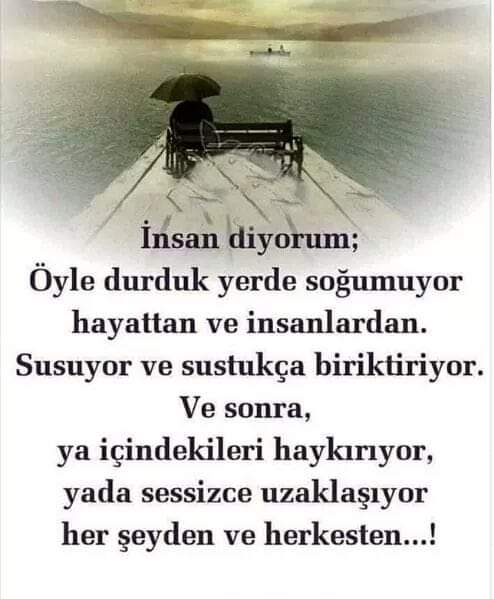 Dudu