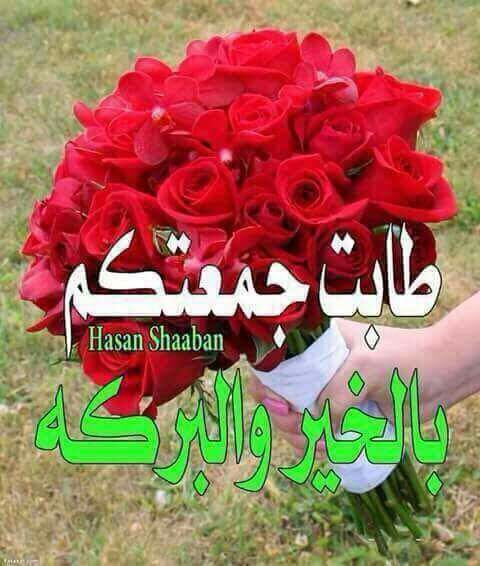 ضياء