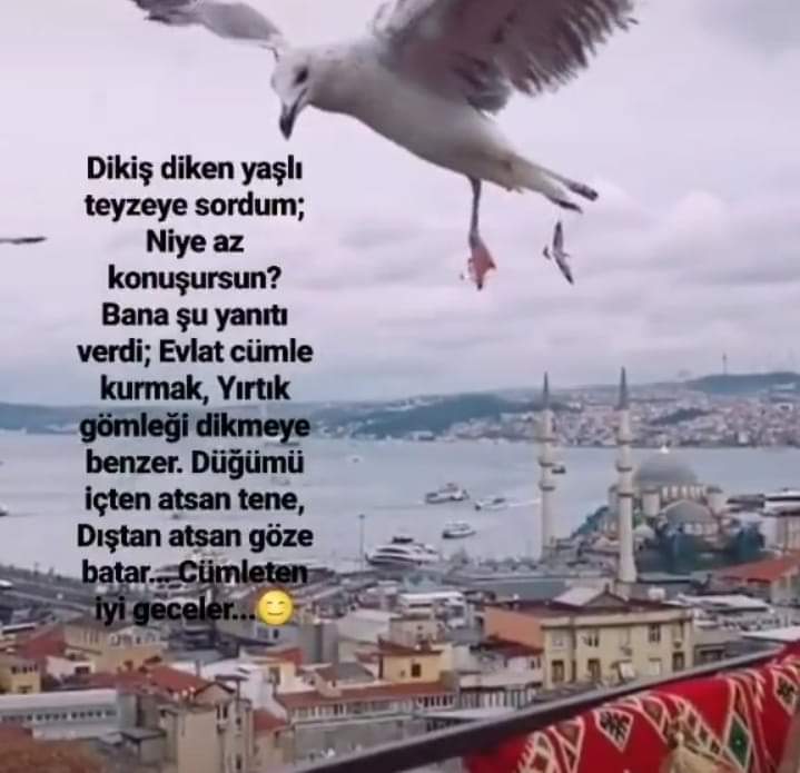 Gülenay