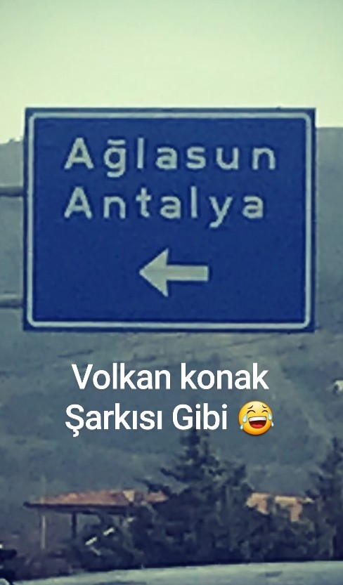 Vedat