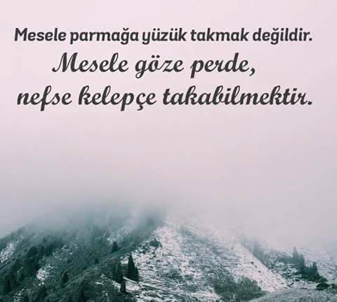Nilgun