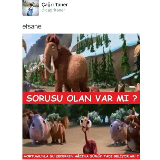 Kadir