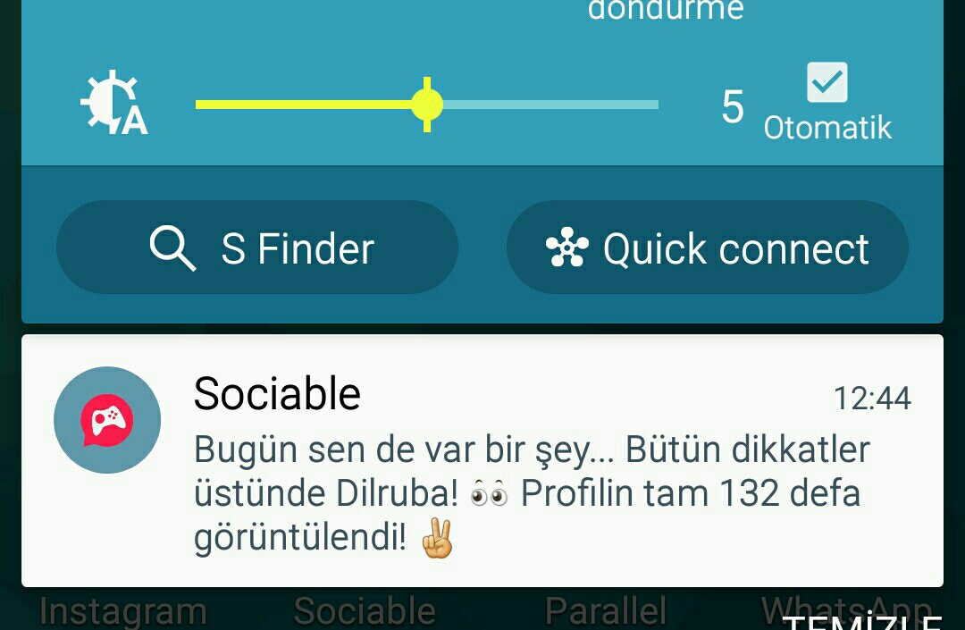 Dilruba