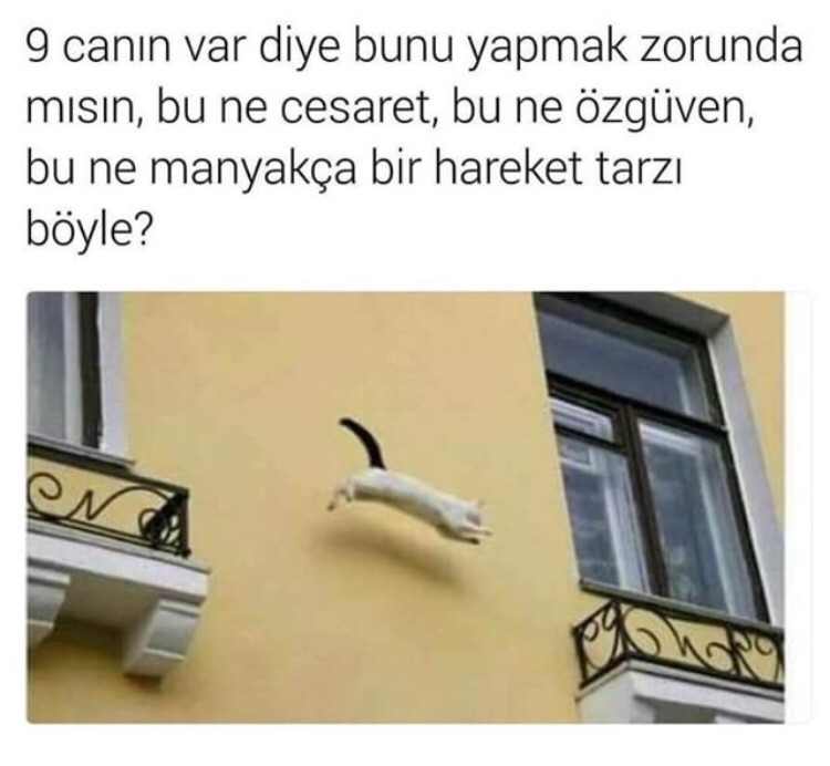 Arzu