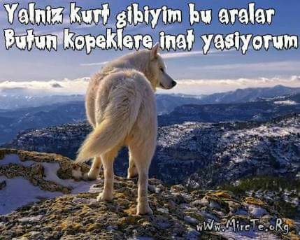 Onur