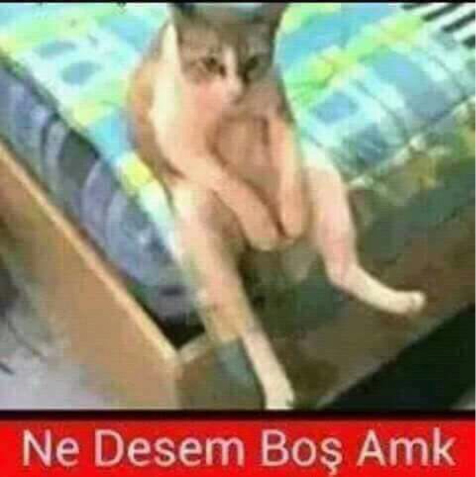 Bülent