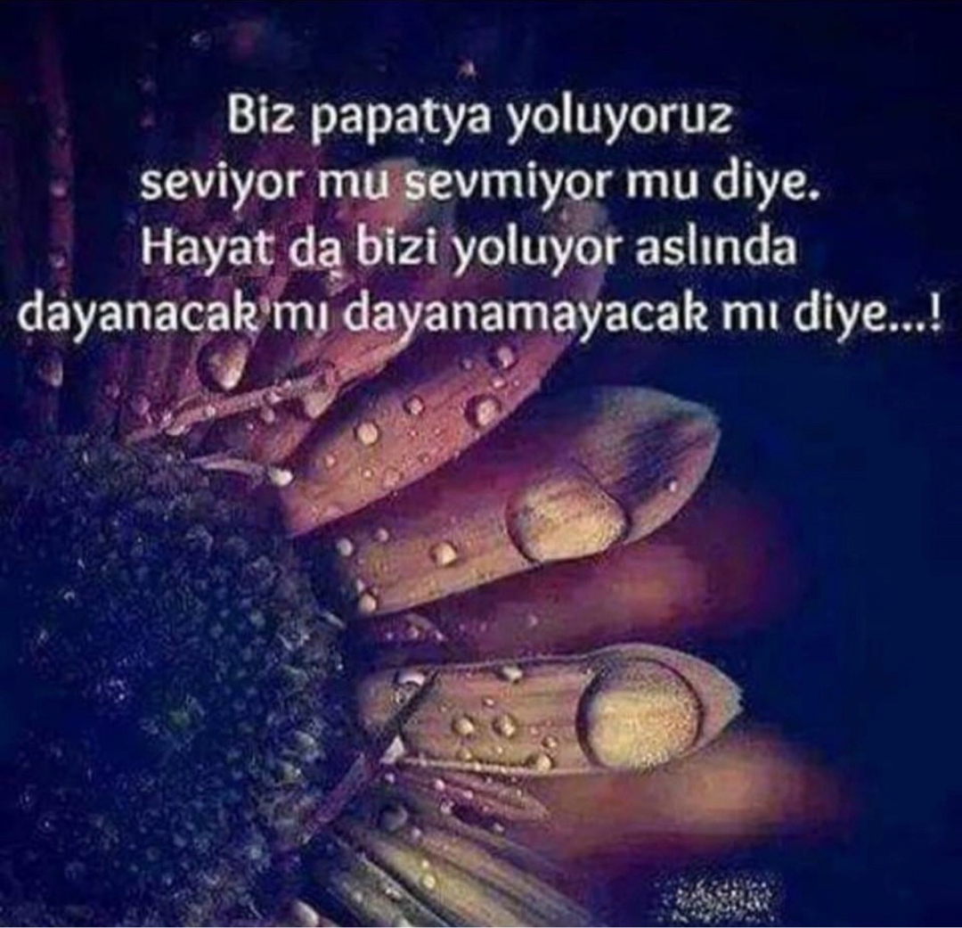 Sadık