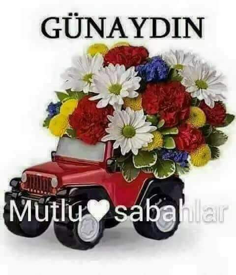 Saliha
