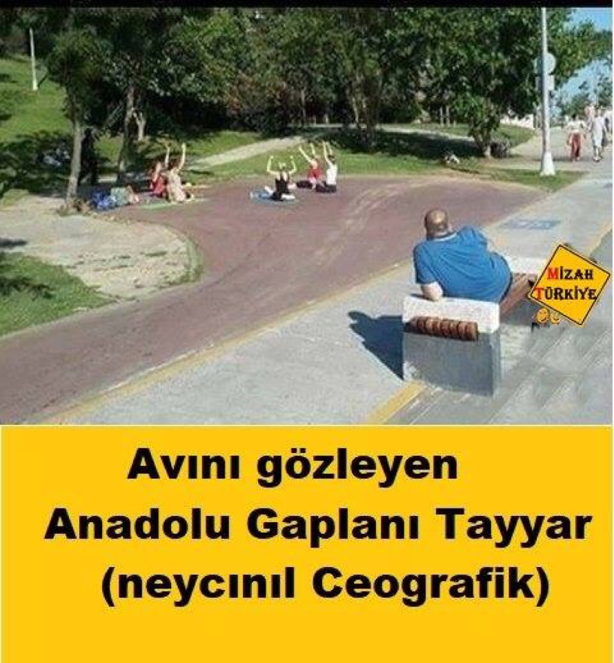 Süleyman