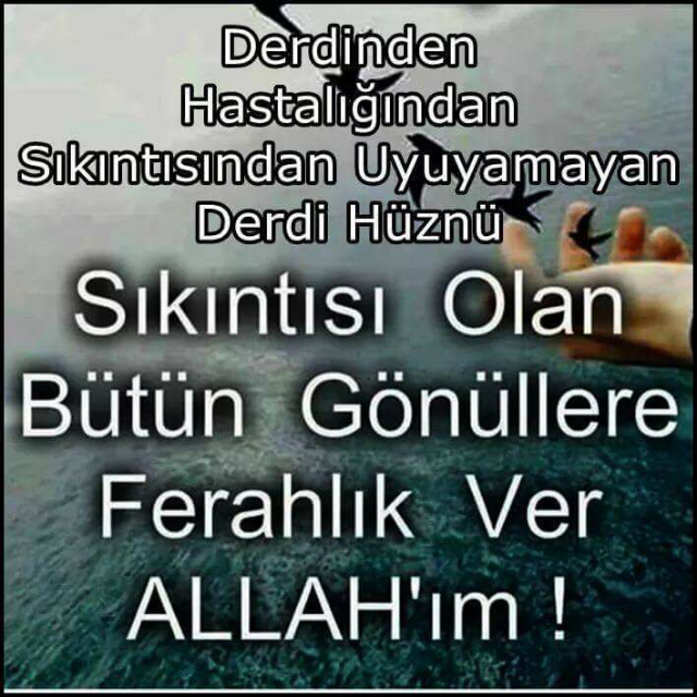 Dilek