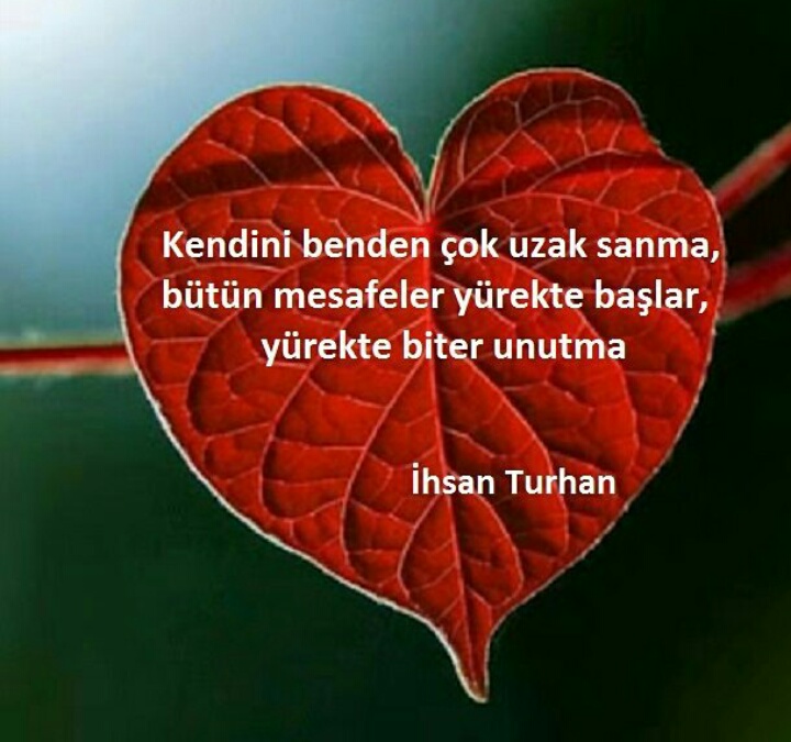 Mahmut