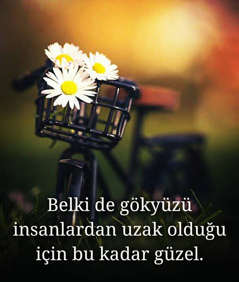 Aylüh