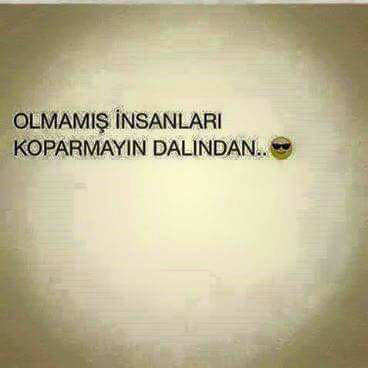 Zeynep