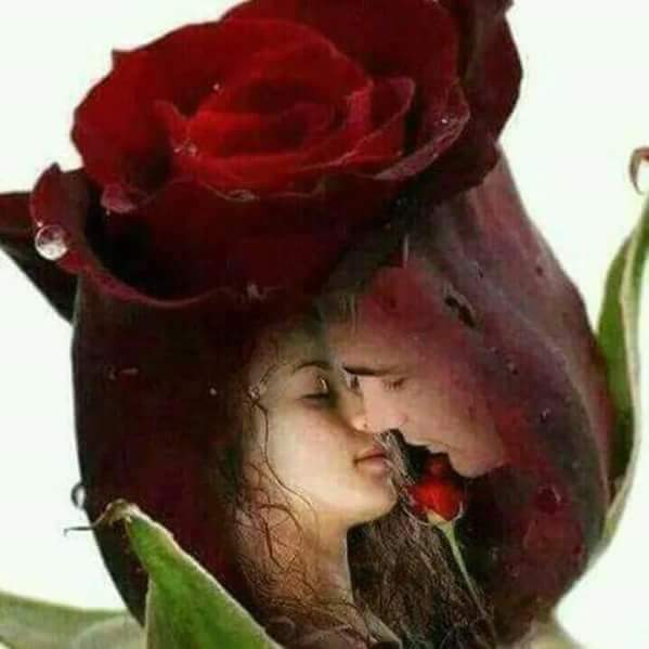 Davut