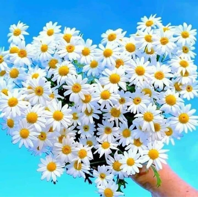 Gizem