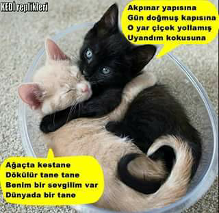 Muharrem