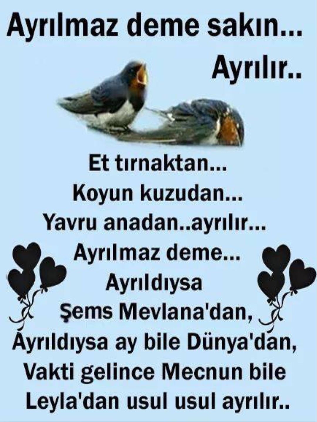 Elif