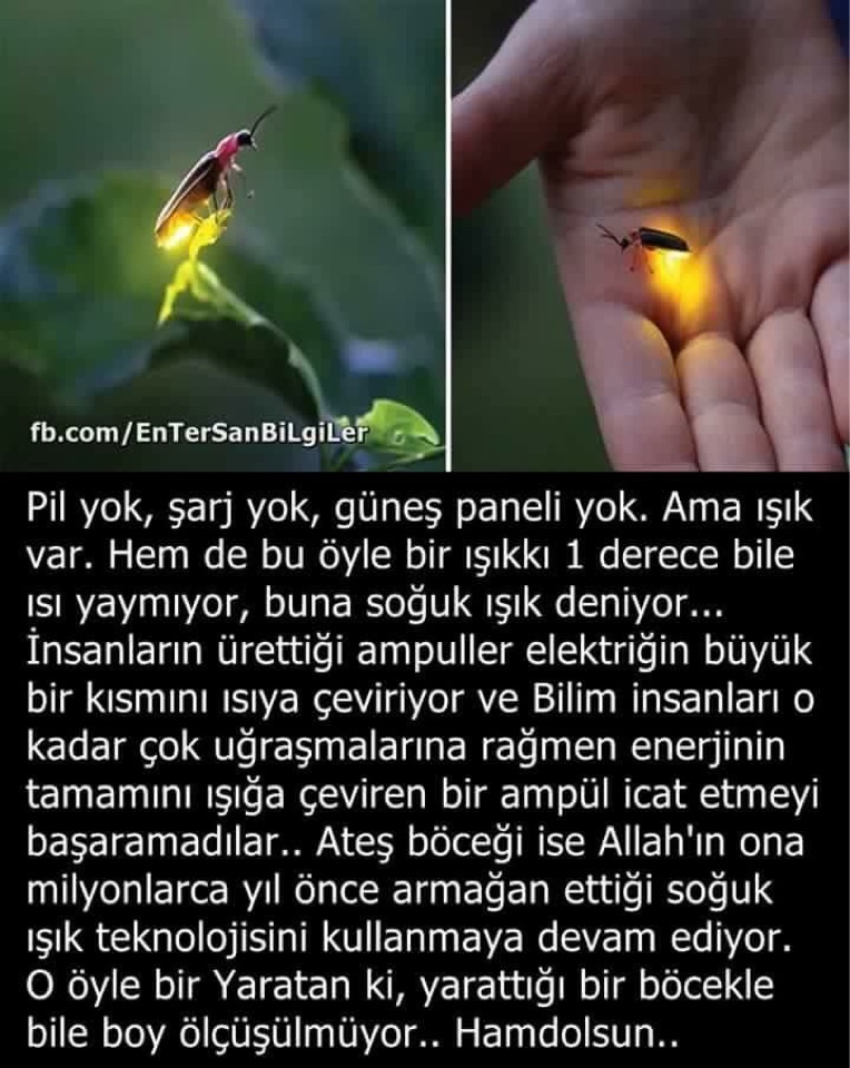 Ufuk