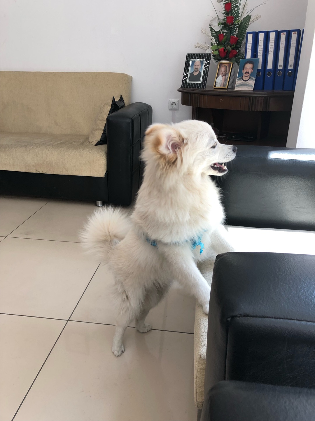 Furkan
