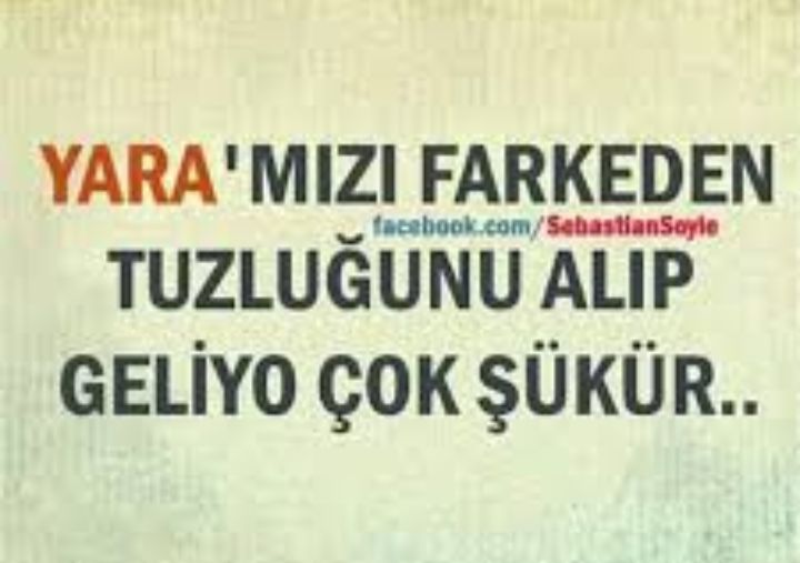 Y Gül