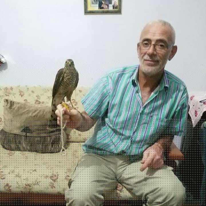Serdar