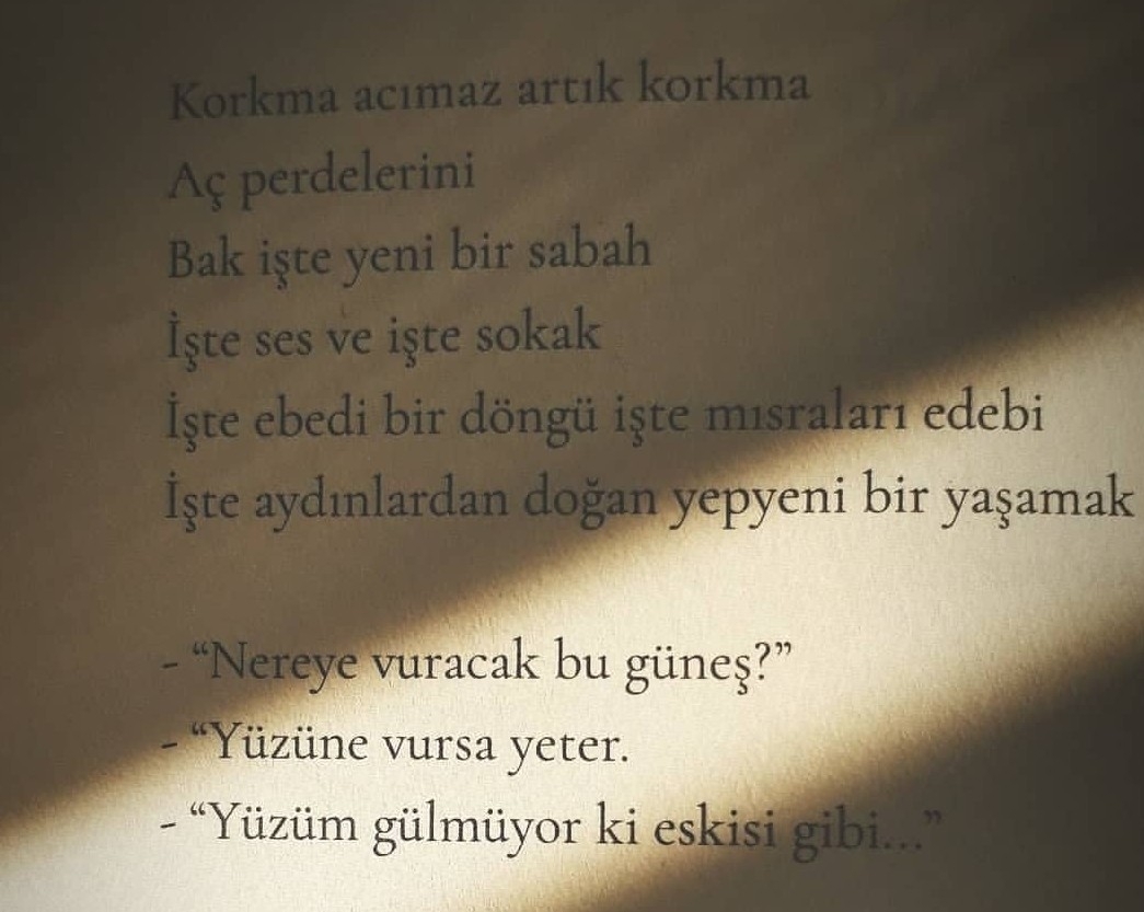 Besna