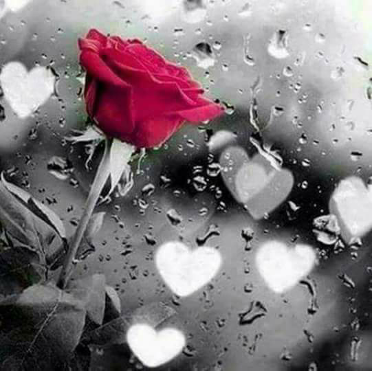 Dilek