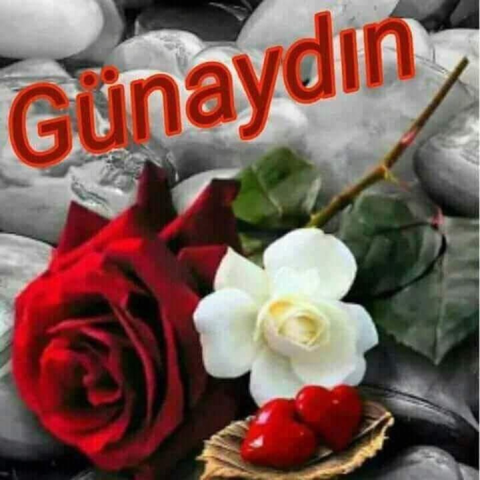 Cenk