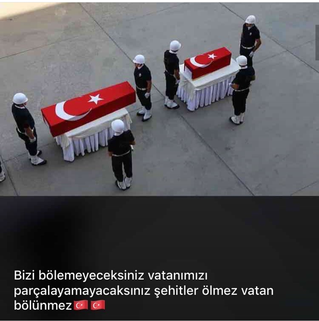 Ayşegül