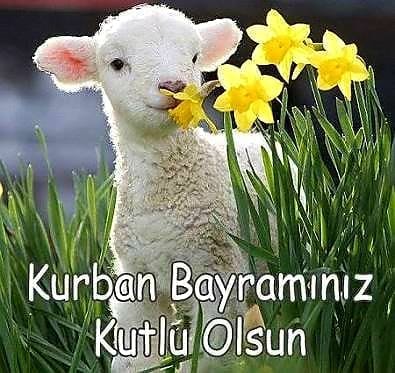 Burak