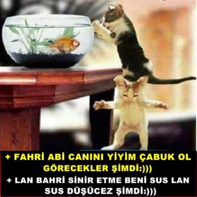 Abdulkarim
