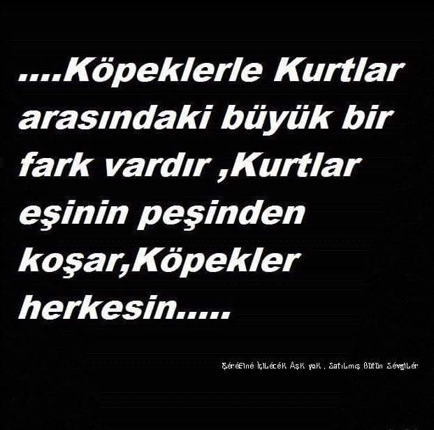 Kader